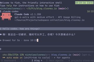 Claude Code v2.1.288 started on gpt-6-astra with medium effort, answering a hello in Chinese, with a 272k context window in the status line